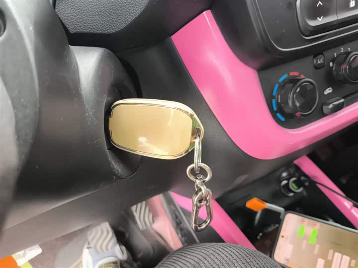 Фото 9 - Dongfeng Nammi Nano EX1 Pro