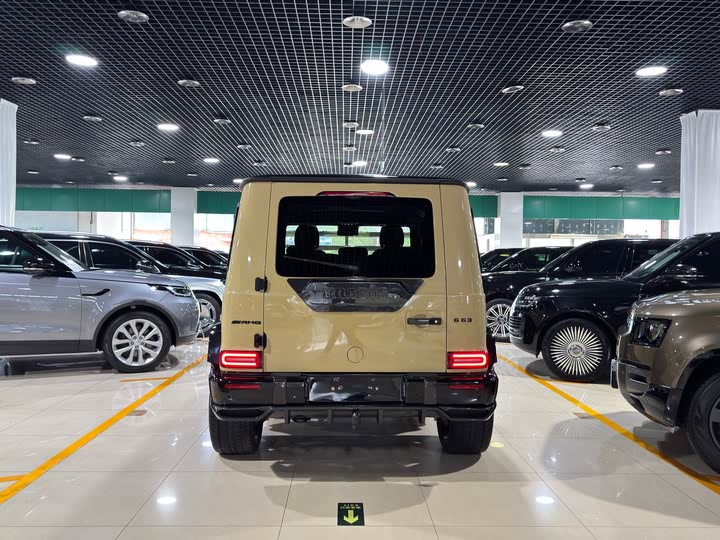 Фото 17 - Mercedes-Benz G-Class AMG