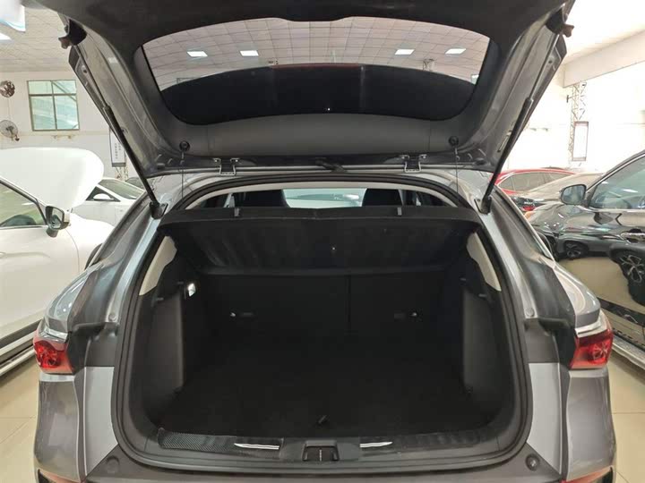 Фото 19 - BYD Yuan Plus