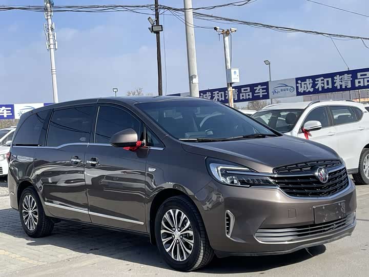 Фото 1 - Buick GL8 ES