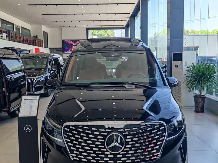 Фото 25 - Mercedes-Benz V-Class