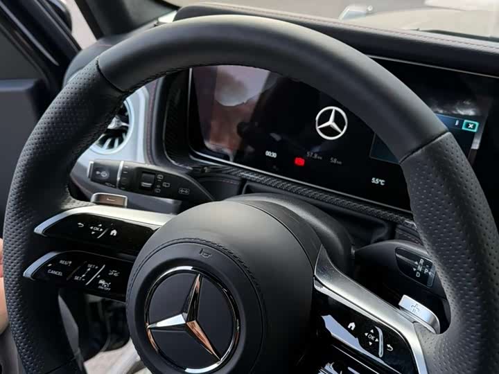 Фото 10 - Mercedes-Benz G-Class