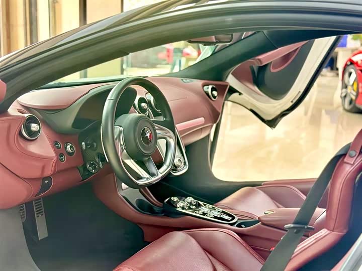 Фото 15 - McLaren GT