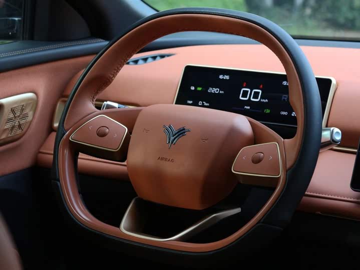 Фото 14 - Hozon X