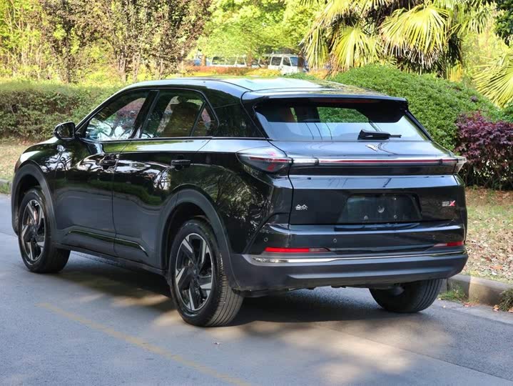 Фото 5 - Hozon X