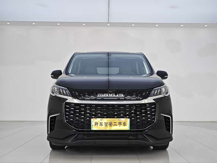 Фото 2 - Maxus Mifa 5