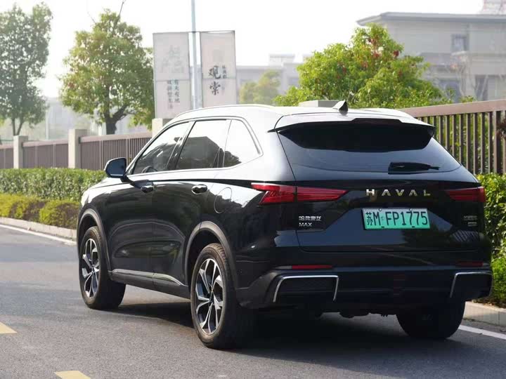 Фото 4 - Haval Ruge Max