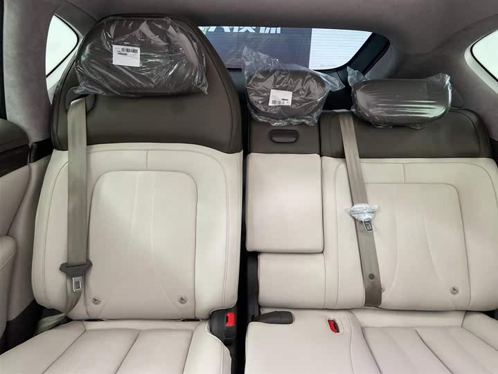 Фото 18 - IM motors LS7