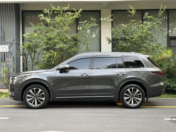 Фото 6 - LiXiang One