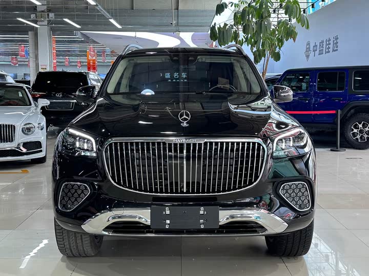 Фото 2 - Mercedes-Benz Maybach GLS