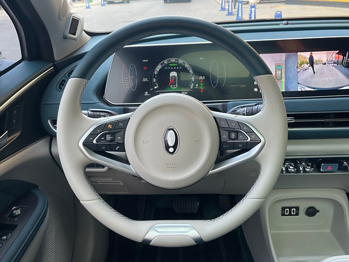 Фото 16 - Ora Good Cat (03)