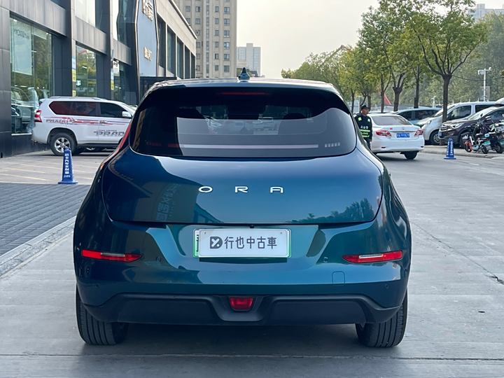 Фото 8 - Ora Good Cat (03)