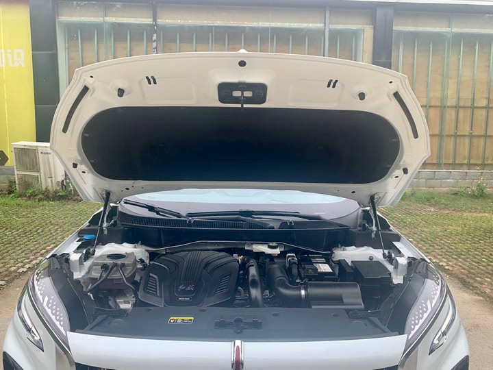 Фото 13 - Hongqi HS3