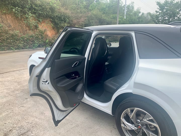 Фото 19 - Hongqi HS3