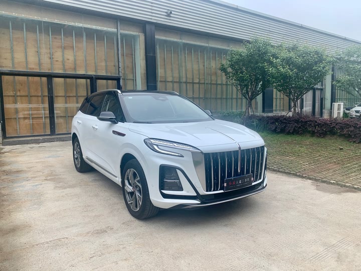 Фото 4 - Hongqi HS3