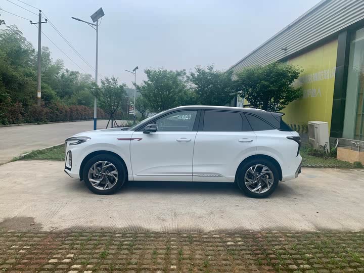 Фото 5 - Hongqi HS3