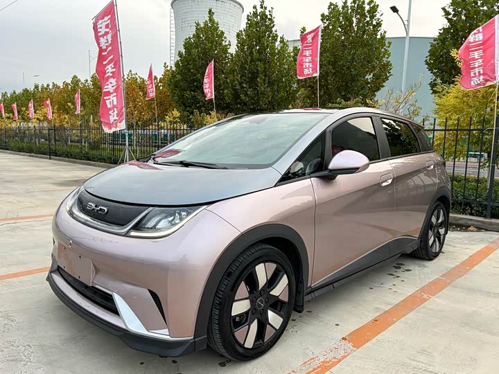 Фото 1 - BYD Dolphin