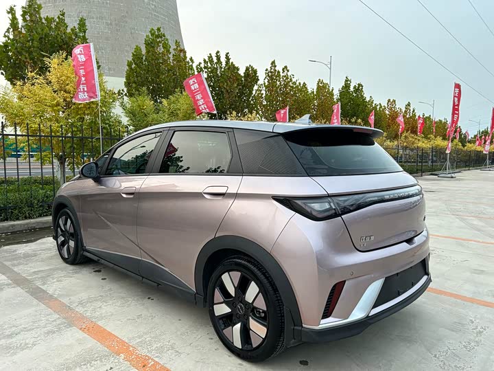 Фото 11 - BYD Dolphin