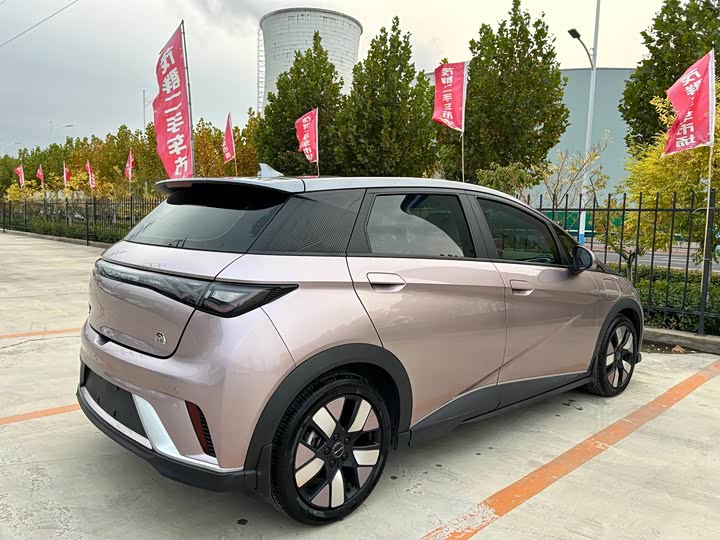 Фото 13 - BYD Dolphin