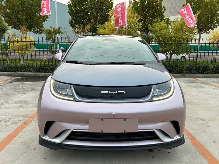 Фото 2 - BYD Dolphin