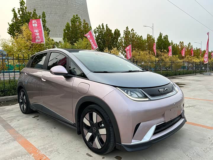 Фото 3 - BYD Dolphin