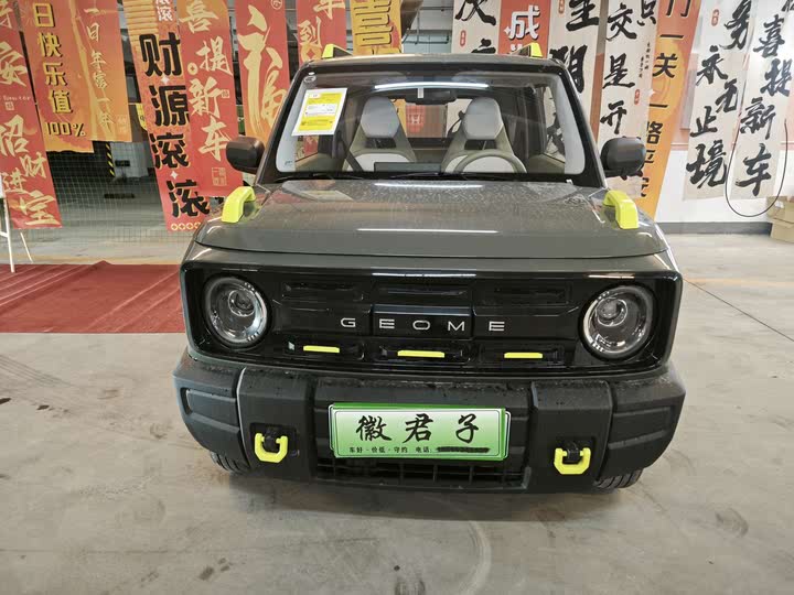 Фото 2 - Geely Galaxy Panda Mini