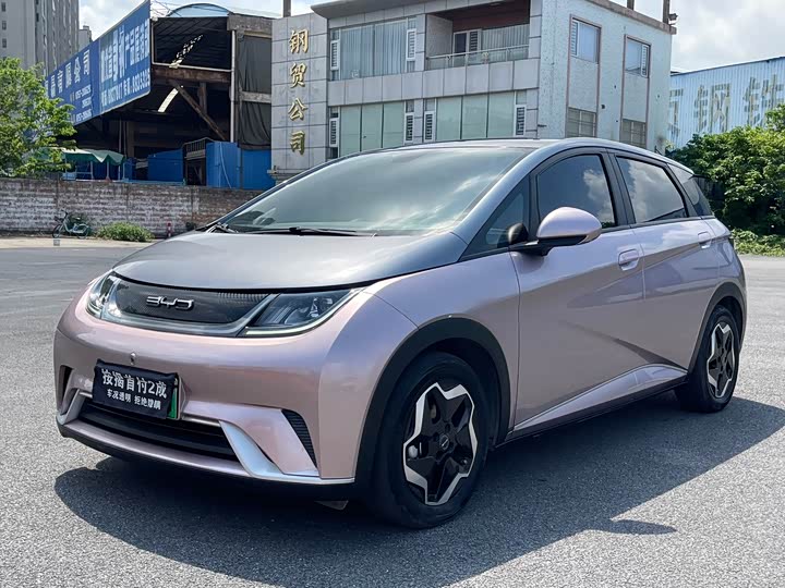 Фото 1 - BYD Dolphin