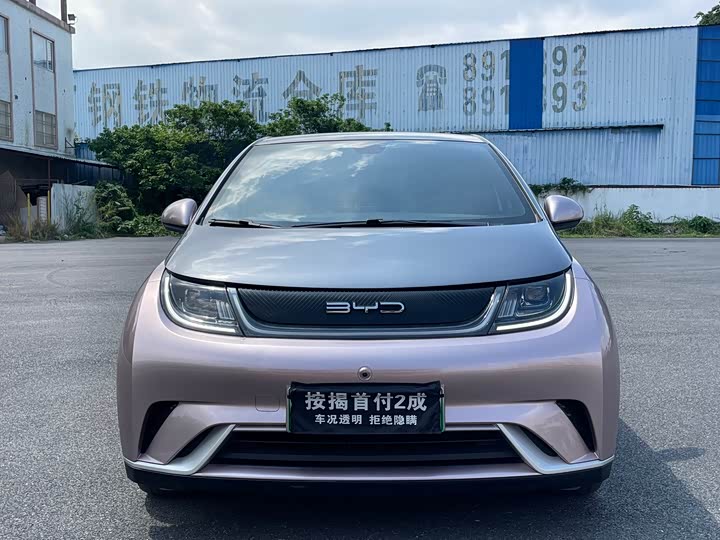 Фото 2 - BYD Dolphin