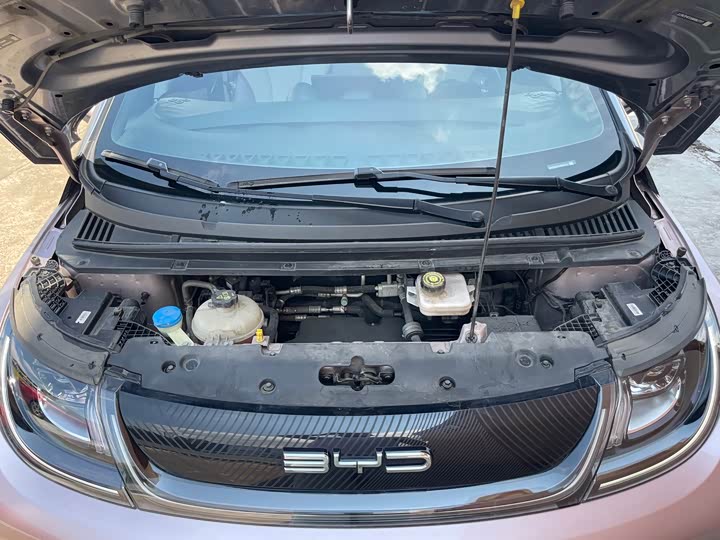 Фото 23 - BYD Dolphin