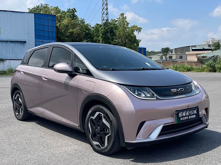 Фото 3 - BYD Dolphin