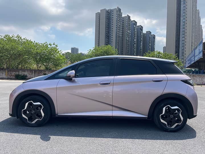 Фото 4 - BYD Dolphin