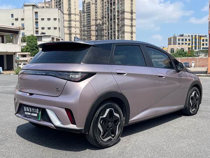 Фото 5 - BYD Dolphin