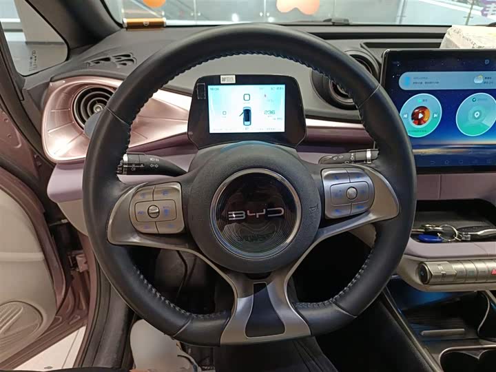 Фото 10 - BYD Dolphin