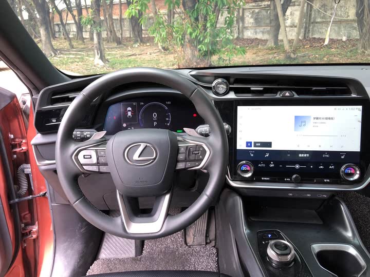 Фото 13 - Lexus RZ