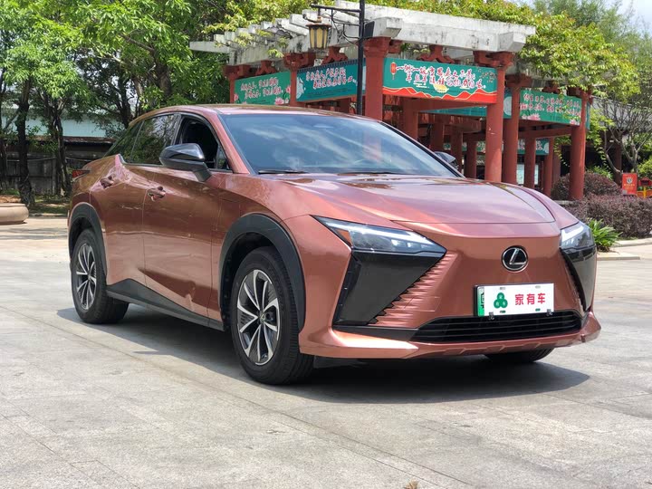 Фото 3 - Lexus RZ