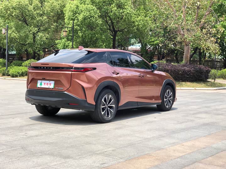 Фото 4 - Lexus RZ