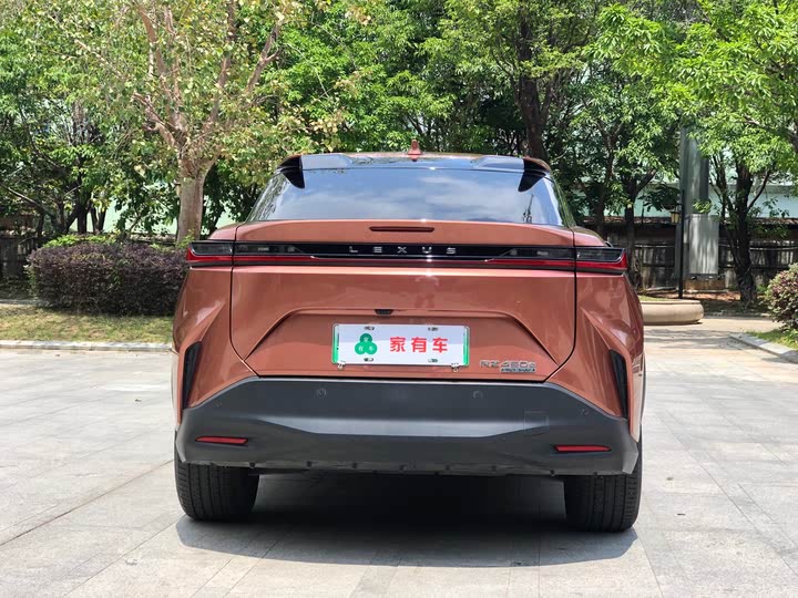 Фото 6 - Lexus RZ