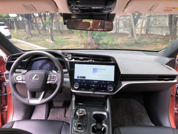 Фото 9 - Lexus RZ