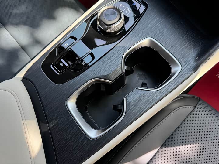 Фото 11 - Lexus RZ