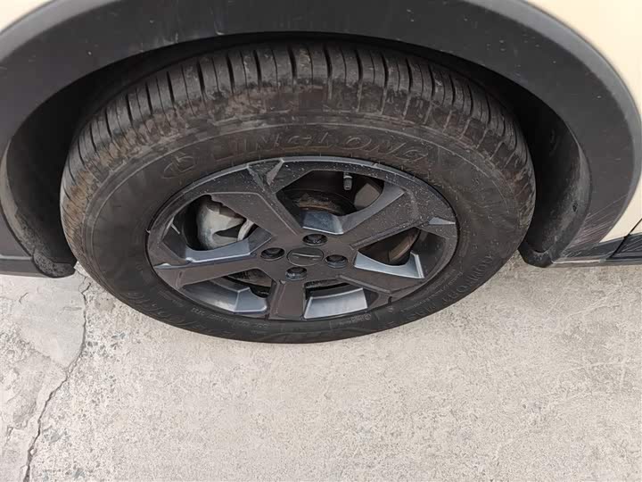 Фото 23 - Geely Geometry E Firefly