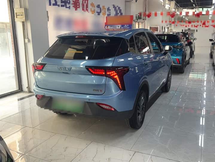 Фото 4 - Hozon V