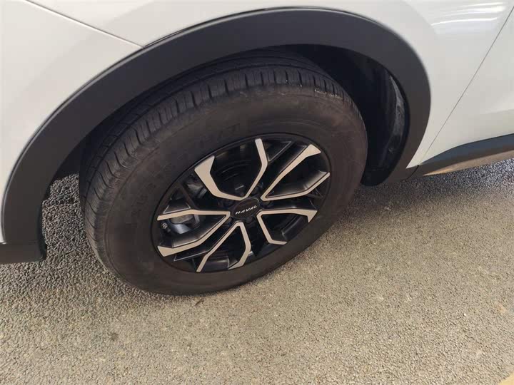 Фото 23 - Haval H6