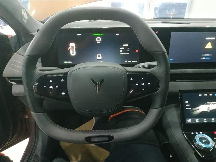 Фото 11 - Voyah Passion