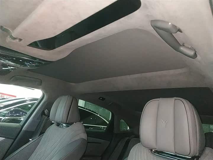 Фото 18 - Voyah Passion