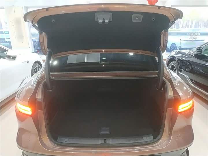 Фото 19 - Voyah Passion