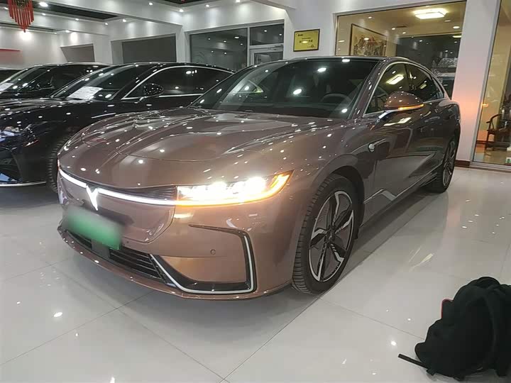 Фото 2 - Voyah Passion