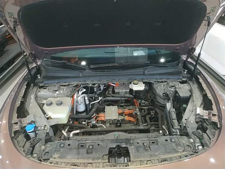 Фото 20 - Voyah Passion