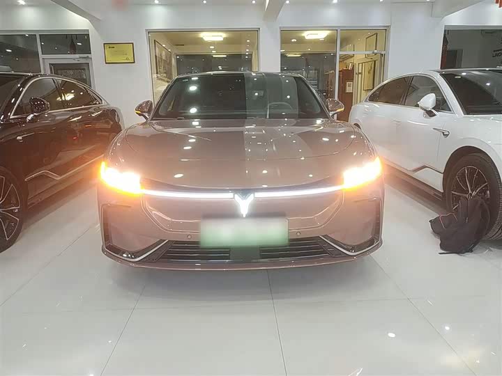 Фото 3 - Voyah Passion