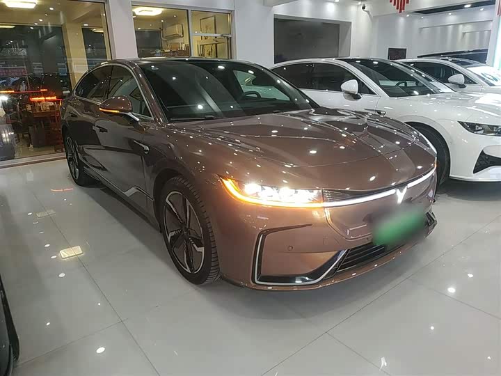 Фото 4 - Voyah Passion