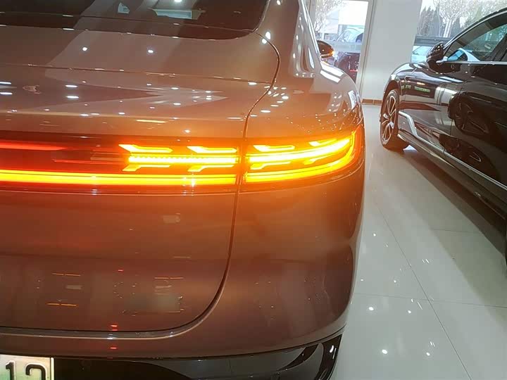 Фото 8 - Voyah Passion